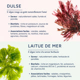 Coffret Premier Plongeon