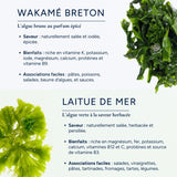 Coffret Jardin Marin (4 algues)
