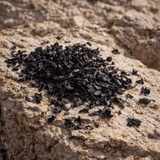 Boîte de Nori (Porphyra)