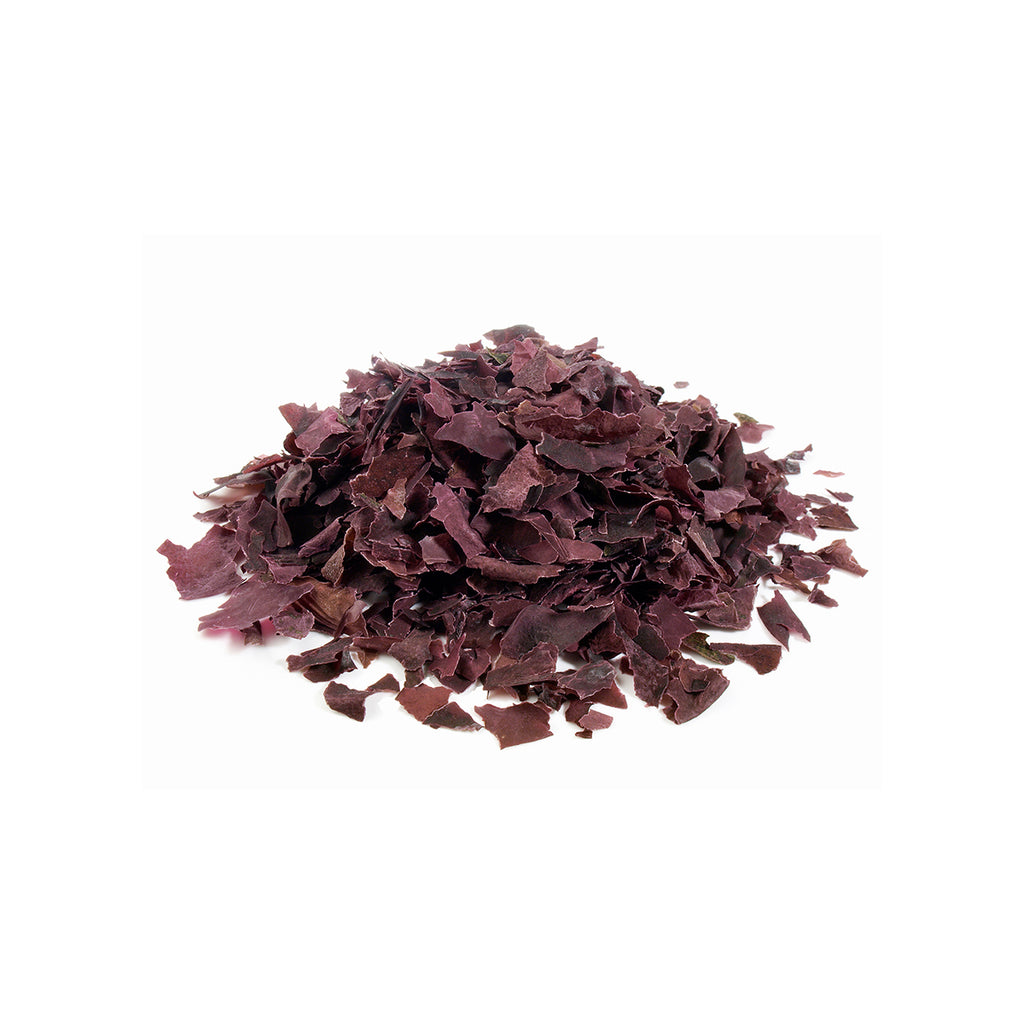 Fournisseur d’algues alimentaires / Neptune Elements – Neptune elements