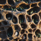 Spiruline Bio - Pilulier de 120 gélules